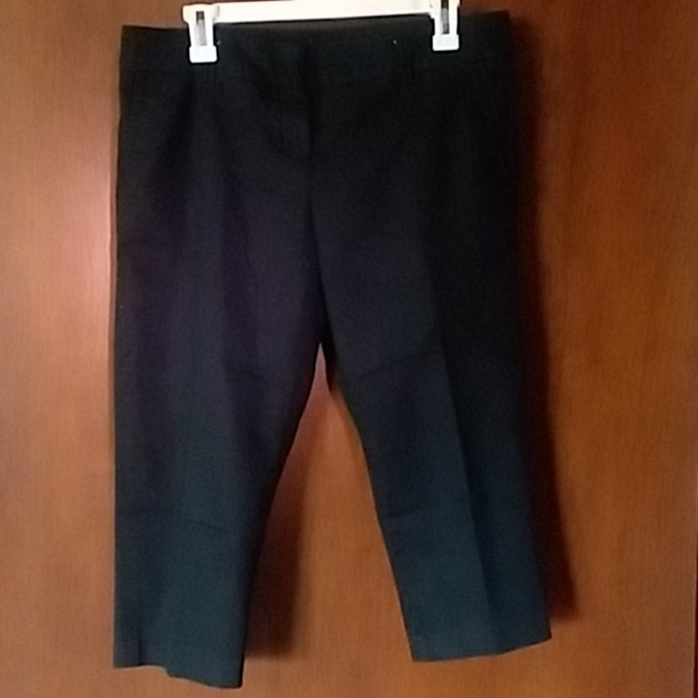 Capri length dress pants